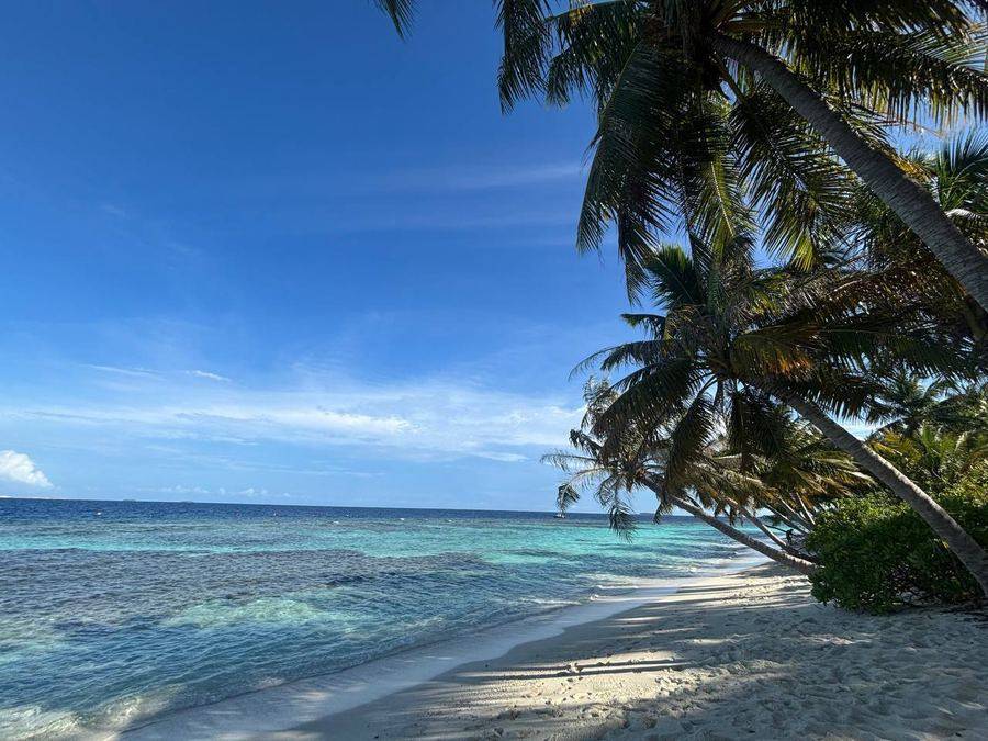 Bandos Maldives 4*